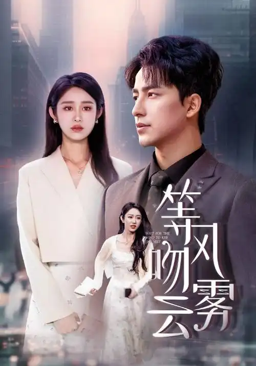 云上归途 都市情感剧全集免费观看